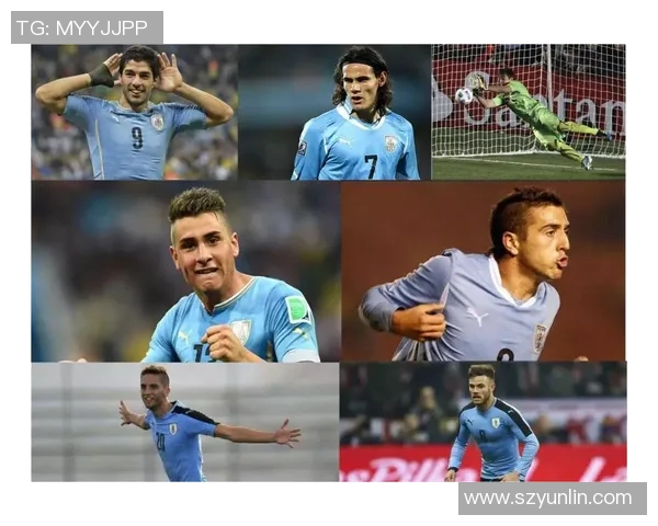 聚焦足球球星贝壳的成长历程与辉煌成就全景解读