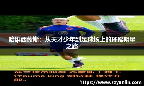 im电竞官网