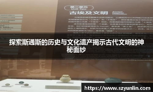 im电竞
