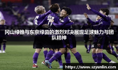 im电竞平台官网